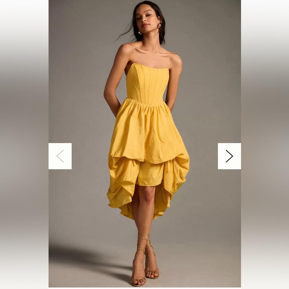 Anthropologie Corset High-Low Bubble Dress XS
